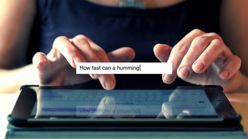 Screen grab from event video design. Woman typing on a tablet "How fast can a humming..."