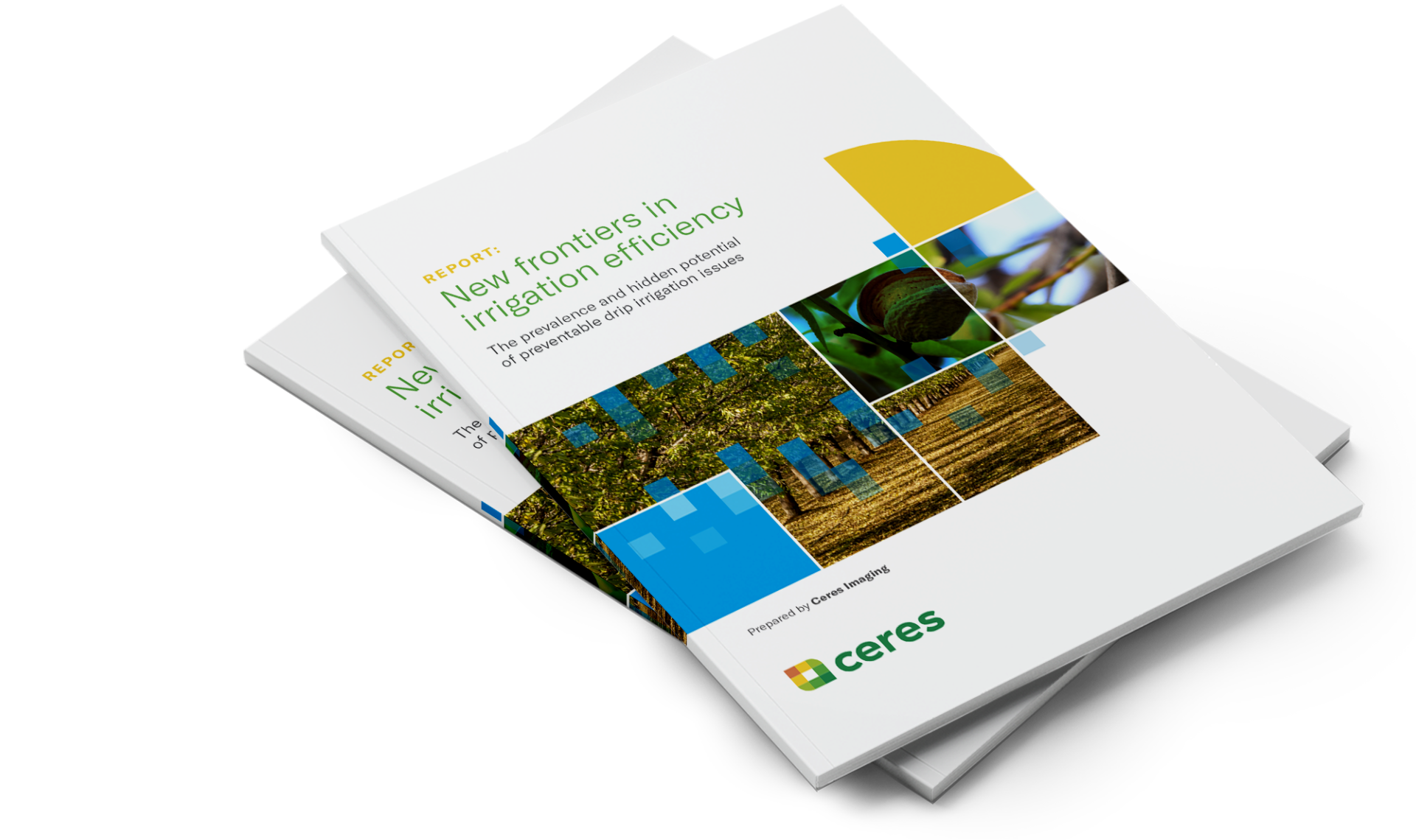 Image of a brochure design for Ceres