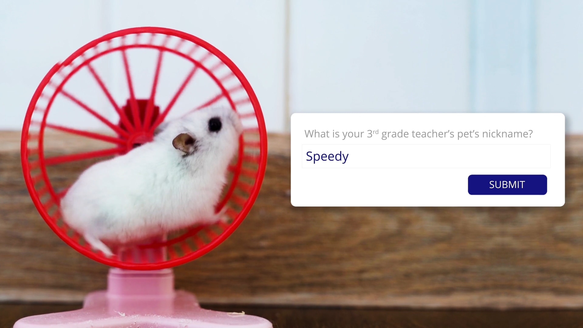 An image of a hamster on a wheel with a popup that has the security question "What is your third grade teacher's pet's nickname?"